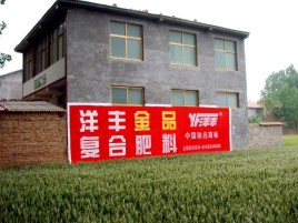 赤水市如何让墙体广告展现最大化效果